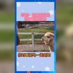 娱乐吃瓜钓鱼,钓鱼揭秘幕后故事