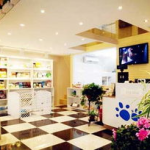 宠物美容店加盟,创业新选择，品牌助力，市场前景广阔