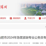 合肥市人事考试网,考试信息汇总与解读