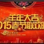 2015春节联欢晚会下载,精彩节目回顾与亮点盘点