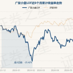 广发小盘基金净值,稳健增长与投资策略深度解读